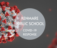 COVID-19 Response