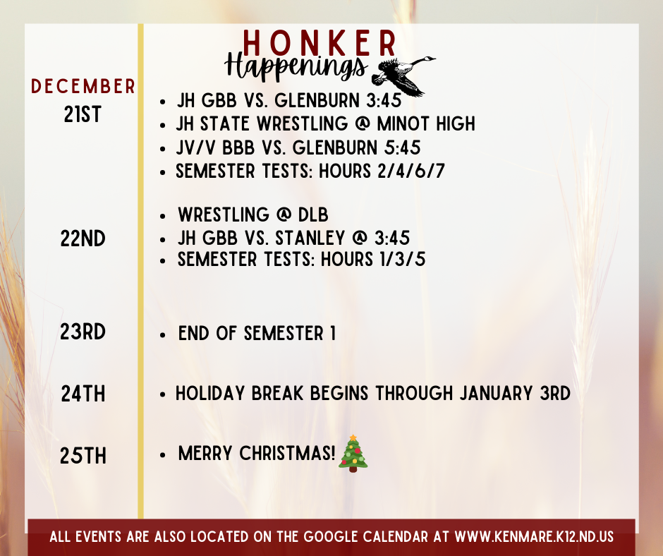 Kenmare School District 28