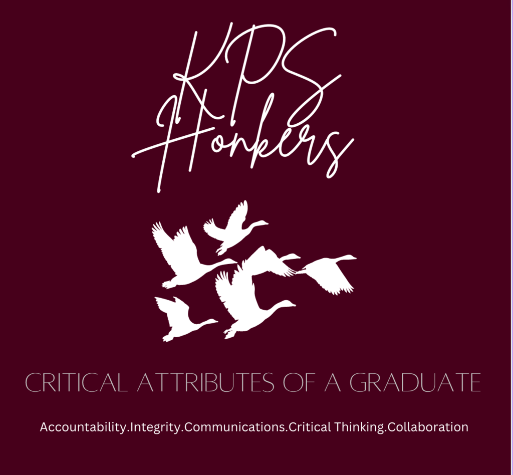 Live Feed Kenmare School District 28